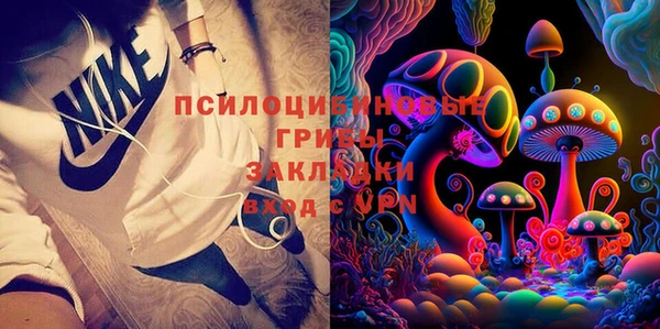 хмурый Вяземский